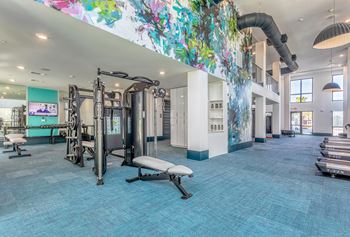 A gym with a variety of equipment including treadmills, weights, and a flat screen TV.